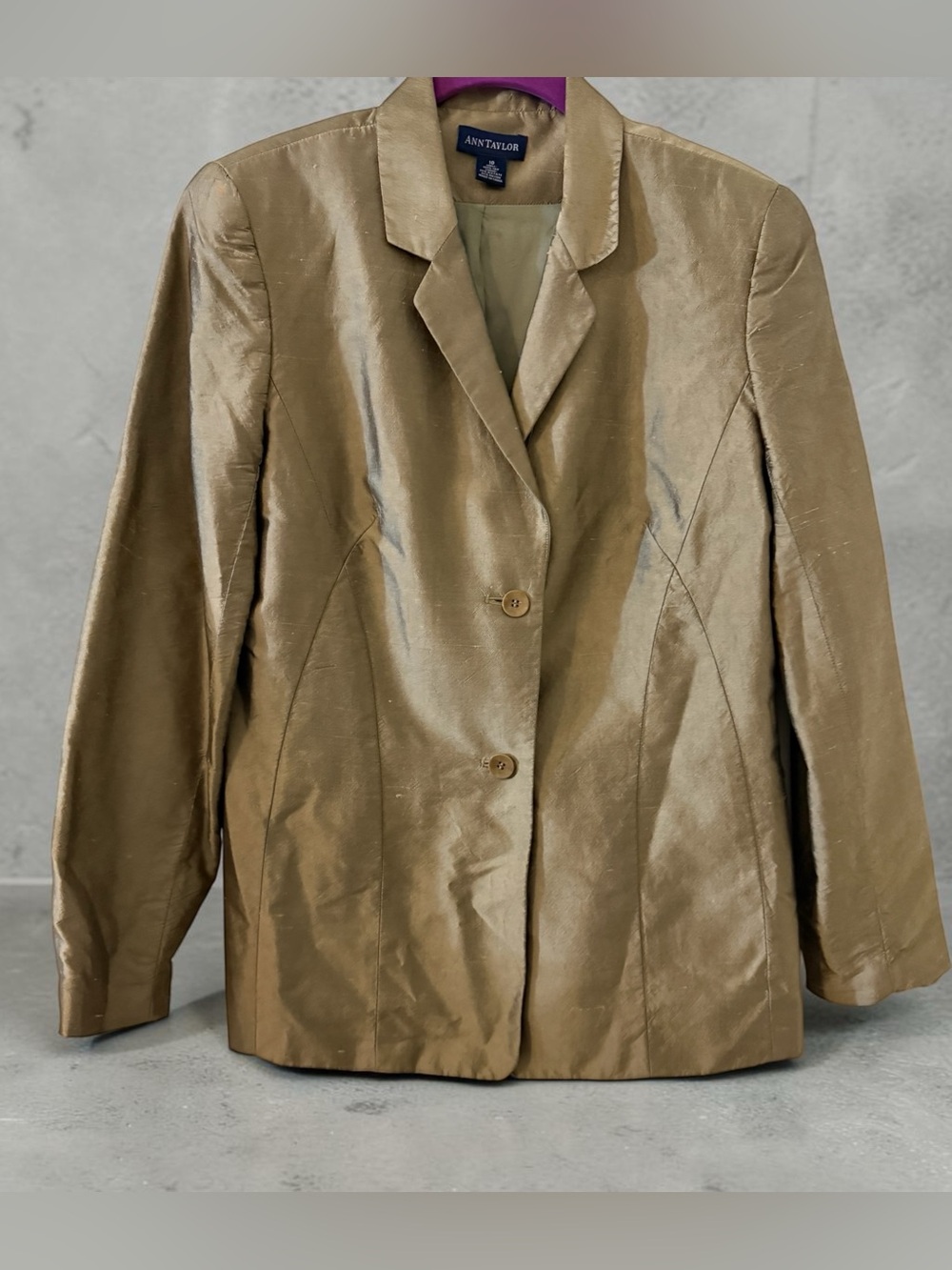 Ann Taylor Vintage Raw Silk Two Button Blazer Jacket Champagne Beige Size 10